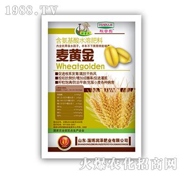 麦黄金-润泽肥业
