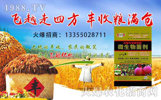 飞越化肥：中国化肥领军品牌！