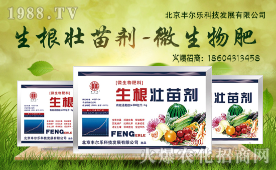 丰尔乐-生根壮苗剂：生产绿色无公害水稻的肥料！