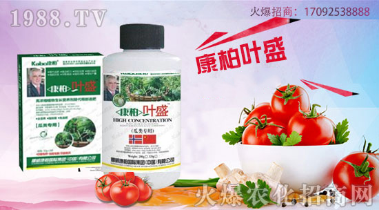 康柏叶盛-瓜类专用肥：瓜类专用型营养调节剂