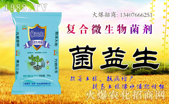 九星惠农（北京）农业发展有限公司