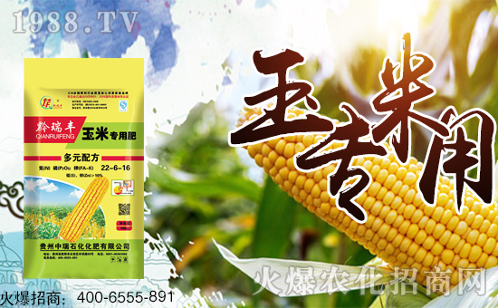 玉米专用肥：补充玉米所需元素，为玉米生长保驾护航！