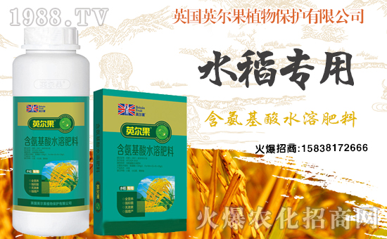 含氨基酸水溶肥料-水稻专用-英尔果