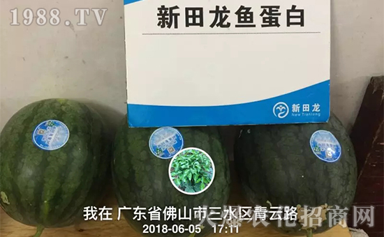 浙江新田龙特种肥料科技有限公司