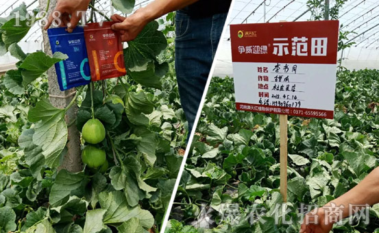     河南省满天红植物保护有限公司