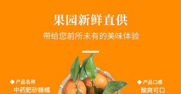 中药肥砂糖橘（成果）-新桔园_06