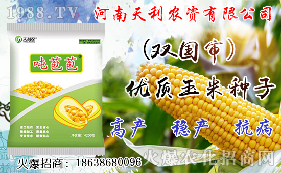 玉米高产很简单！用对方法是关键！玉米高产的有效方案！