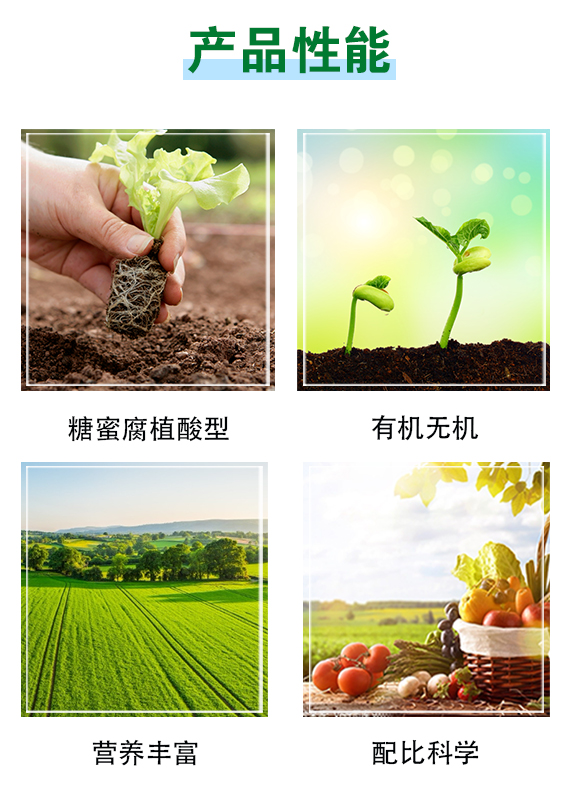 广西和齐成农业股份有限公司-有机无机复混肥料2_03