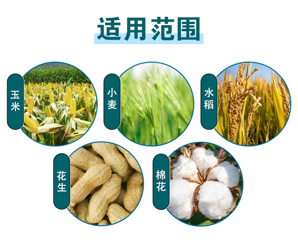 广西和齐成农业股份有限公司-有机无机复混肥料_04