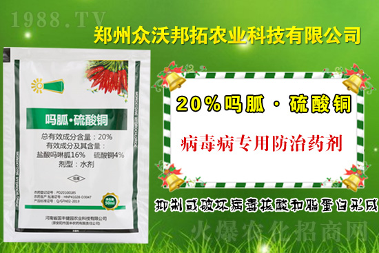 辣椒病毒病来袭，作物可减产70%! 辣椒病毒病用药建议！ 