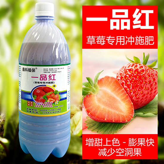 草莓专用冲施肥-一品红-鑫科植保2