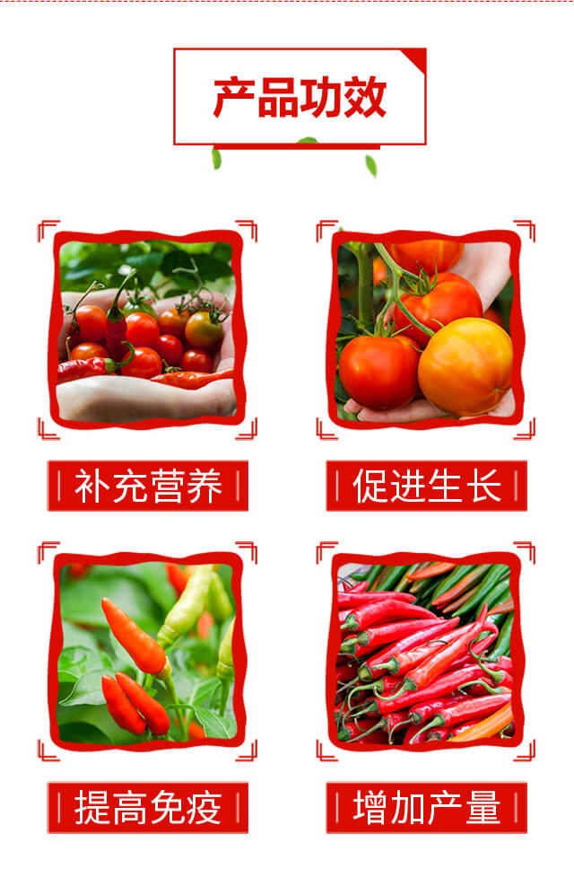 辣椒番茄高产TC-绿士威_03