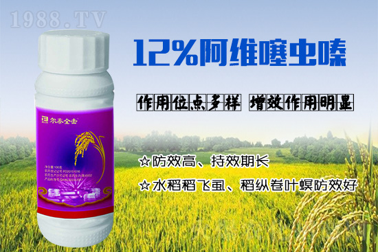 水稻稻飞虱分为哪几种？该如何选择稻飞虱防治药剂？