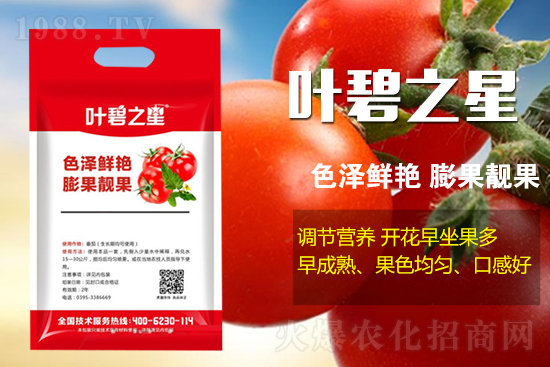 番茄开花少产量低怎么办？牢记这几点，番茄坐果不用愁！