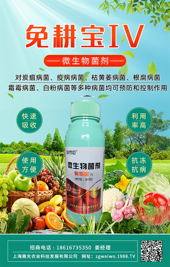 上海雅光农业科技发展有限公司10