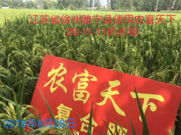 小麦玉米专用高氮复合肥料26-11-11-农富天下4