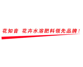 硕农（上海）生物科技有限公司