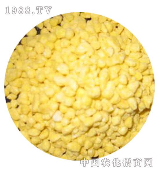 黄颗粒-丰润生物