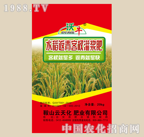 水稻返青柯杈灌浆肥-沃牛-红日肥业