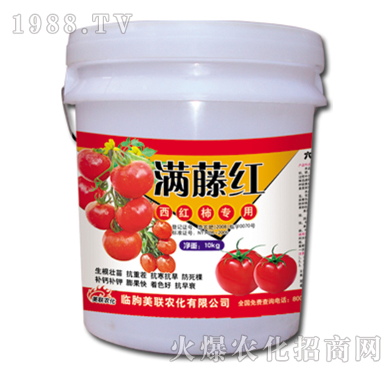西红柿专用-满藤红-美联