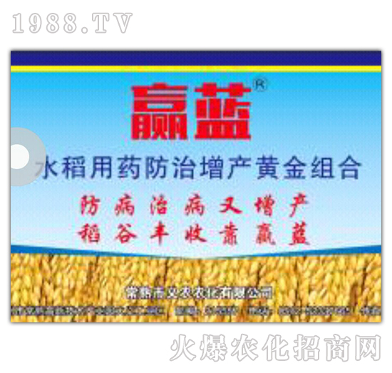 水稻用药防治增产黄金组合-赢蓝-义农农化