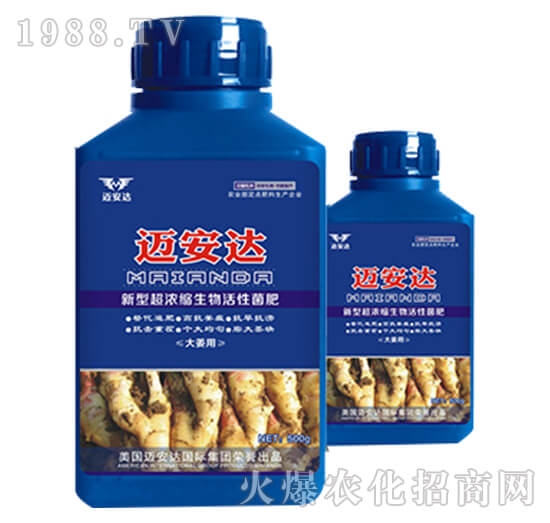 大姜新型超浓缩生物活性菌肥（瓶）-迈安达