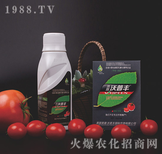 西红柿专用氨基松脂菌露母液叶面肥-沃普丰