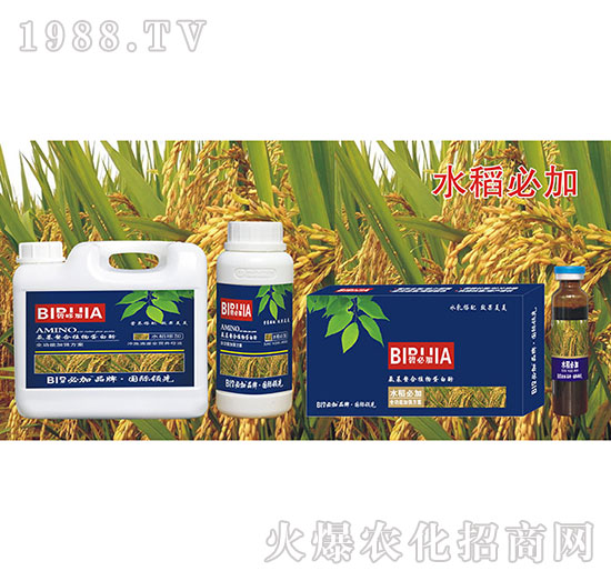 水稻必加-氨基螯合植物蛋白酚-鑫禾