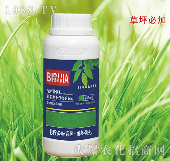 草坪必加-氨基螯合植物蛋白酚-鑫禾