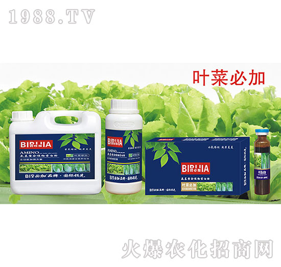 叶菜必加-氨基螯合植物蛋白酚-鑫禾
