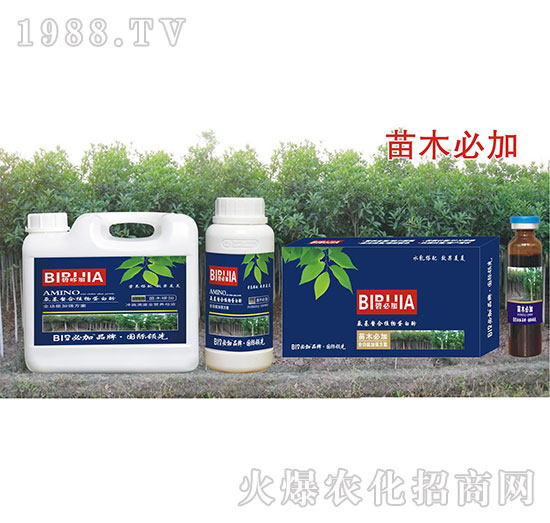 苗木必加-氨基螯合植物蛋白酚-鑫禾