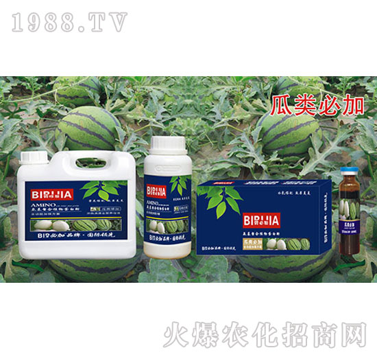 瓜类必加-氨基螯合植物蛋白酚-鑫禾