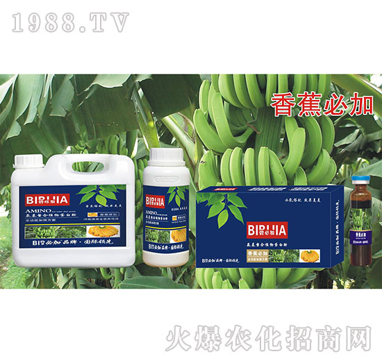 香蕉必加-氨基螯合植物蛋白酚-鑫禾