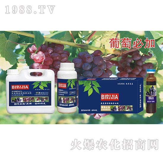 葡萄必加-氨基螯合植物蛋白酚-鑫禾