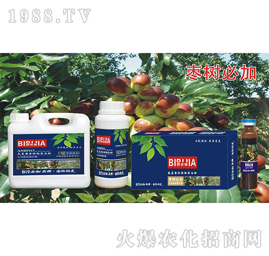 枣树必加-氨基螯合植物蛋白酚-鑫禾