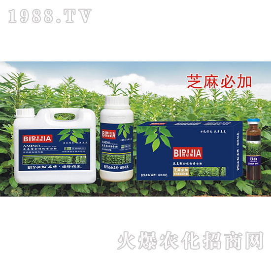 芝麻必加-氨基螯合植物蛋白酚-鑫禾