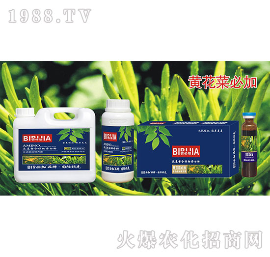 黄花菜必加-氨基螯合植物蛋白酚-鑫禾