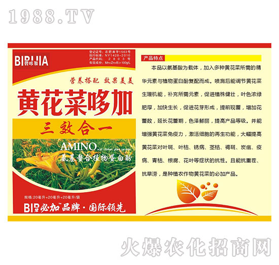 黄花菜哆加-氨基螯合植物蛋白酚-鑫禾