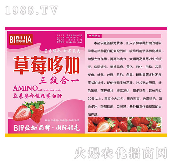 草莓哆加-氨基螯合植物蛋白酚-鑫禾