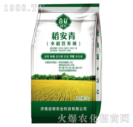 水稻营养剂-稻安青-启明农业