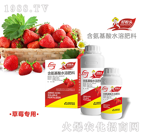 草莓专用含氨基酸水溶肥料-好盼头