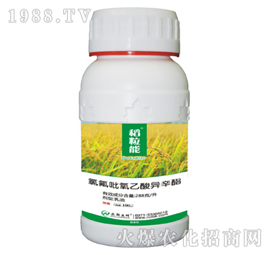 氯氟吡氧乙酸异辛酯-稻粒能-农联生物