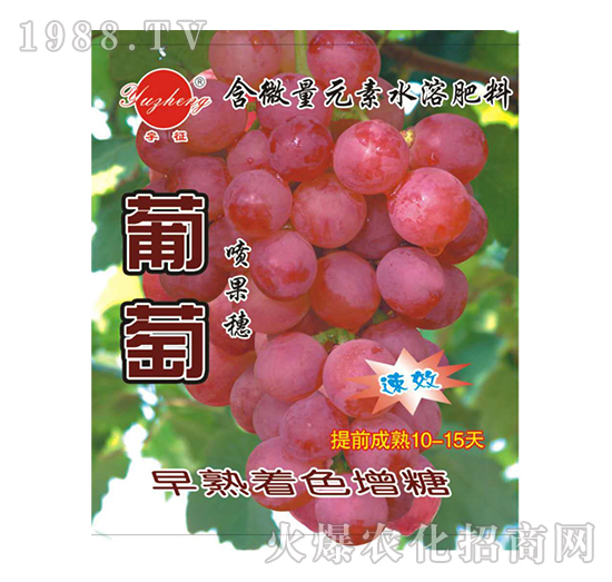葡萄喷果穗专用-含微量元素水溶肥料-宇征生物