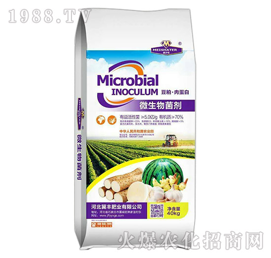微生物菌剂-美沙特-冀丰肥业