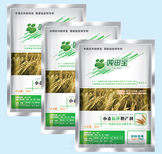 小麦抗逆增产剂-吨田宝-禾田丰泽