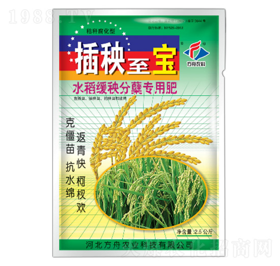 水稻缓秧分蘖专用肥-插秧至宝-方舟农业