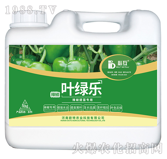 辣椒提苗专用肥-叶绿乐-欧特农业