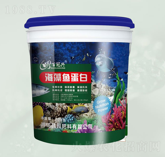 海藻鱼蛋白含氨基酸水溶肥肥-晶园肥料