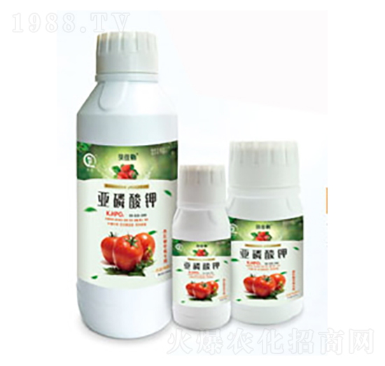 西红柿草莓专用亚磷酸钾-白市化工