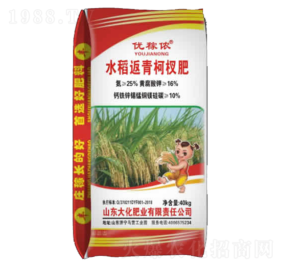 水稻返青柯杈肥-大化肥业